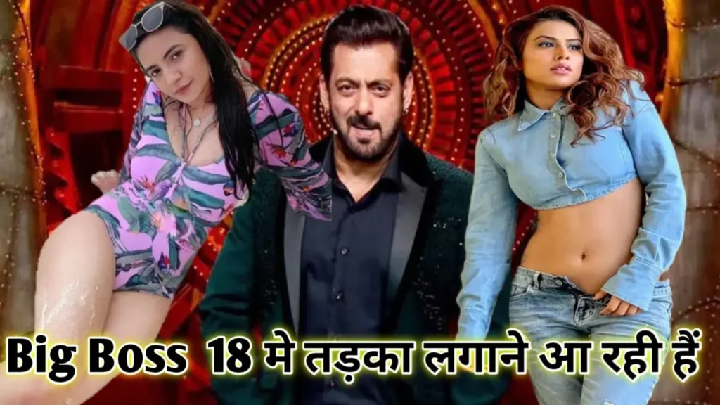 Big Boss 18  में आएंगे ये  Contestants:इन  सितारों की दुनिया और क्या करते है